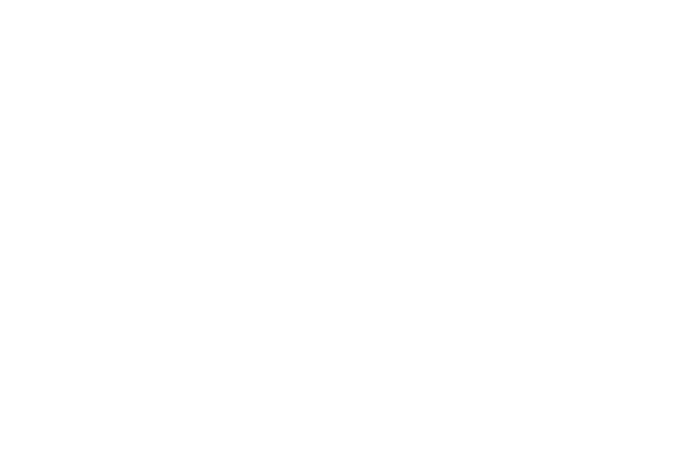 Esencia Interior